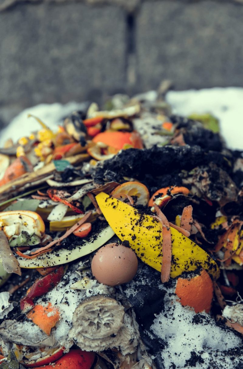 Lixo Orgânico na compostagem doméstica