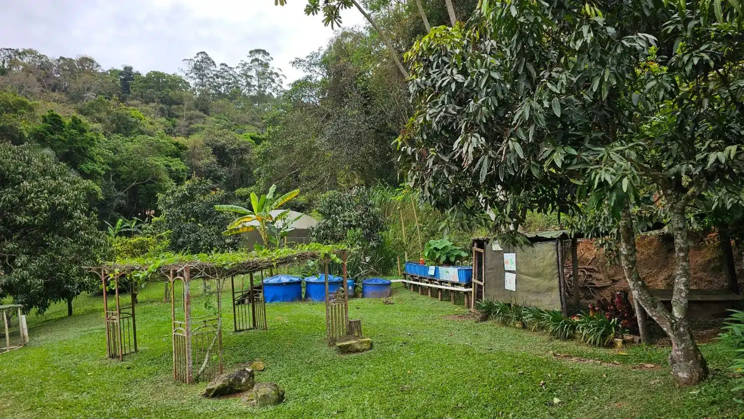 Quintal do Instituto Casológica, com pergolado, caixas d'água, viveiro de mudas e mata ao fundo